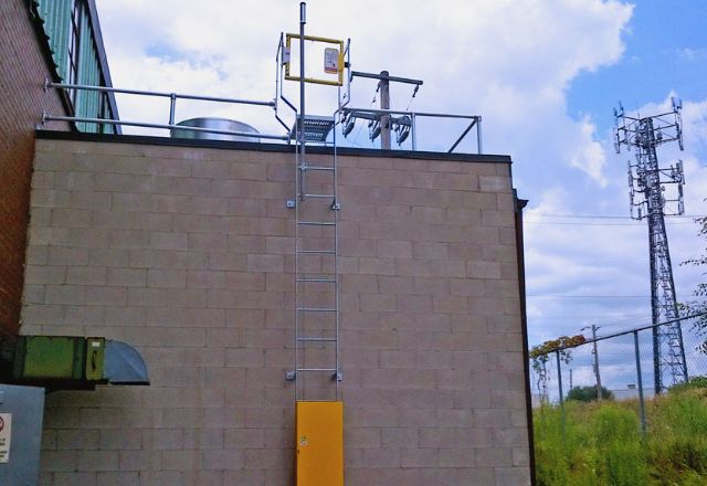 feature roofguard ladder guardrail