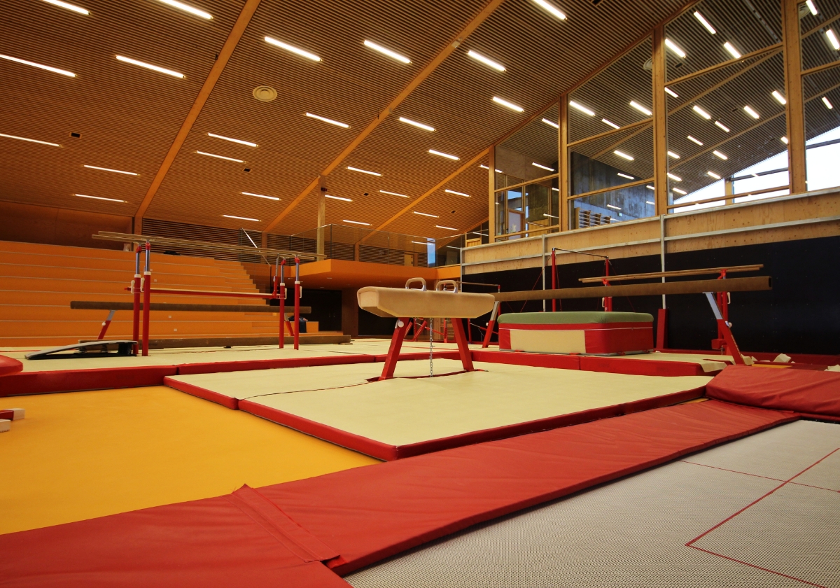 img Gymnastic Equipment v2